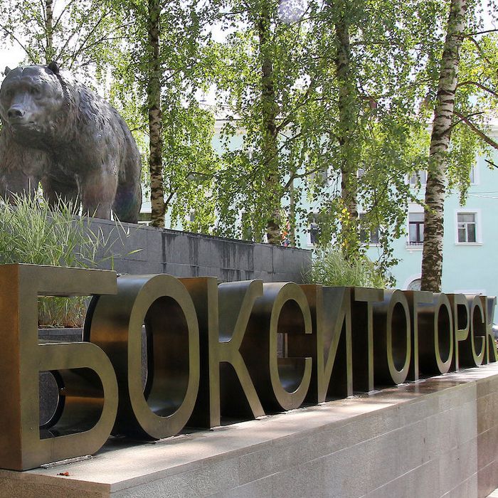 Бокситогорск